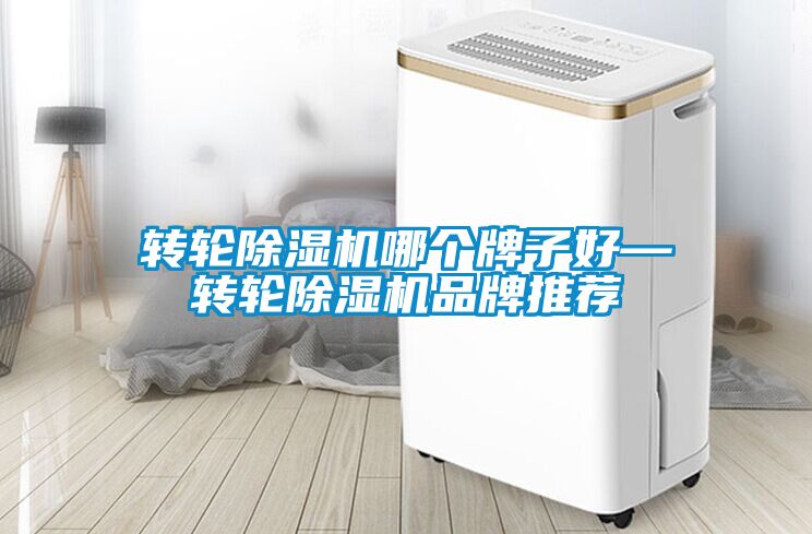 欧美黄色性爱视频网站 转轮除湿机哪个牌子好—转轮除湿机品牌推荐