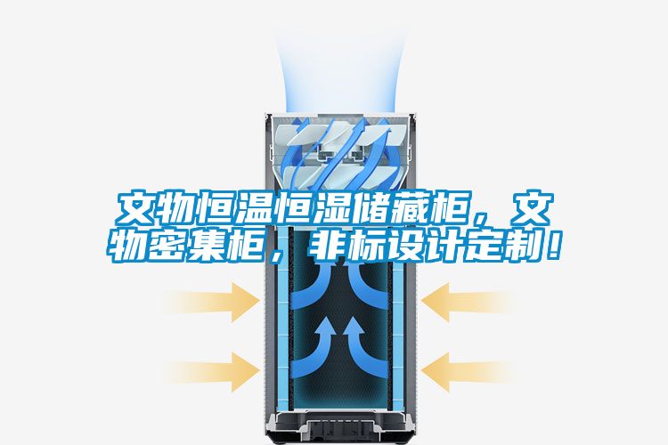 欧美黄色电影在线播放 文物恒温恒湿储藏柜，文物密集柜，非标设计定制！