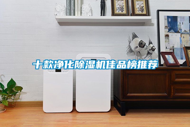 欧美成色手机在线观看 十款净化除湿机佳品榜推荐