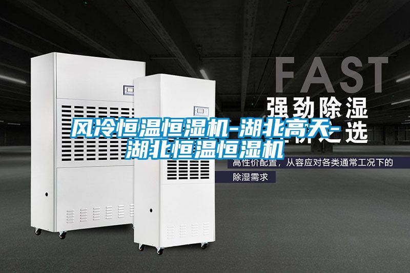 欧美黄色性爱视频网站 风冷恒温恒湿机-湖北高天-湖北恒温恒湿机
