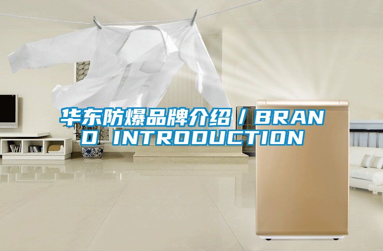 欧美黄色电影在线播放 华东防爆品牌介绍／BRAND INTRODUCTION