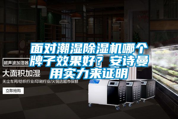 欧美黄色电影在线播放 面对潮湿除湿机哪个牌子效果好？安诗曼用实力来证明