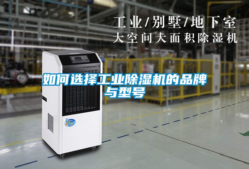 欧美黄色电影在线播放 如何选择工业除湿机的品牌与型号