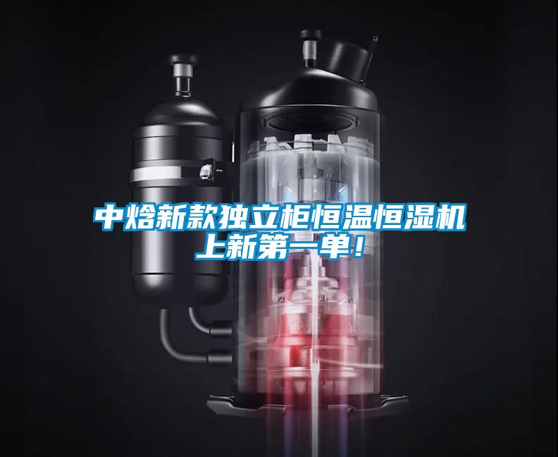 欧美黄色电影在线播放 中焓新款独立柜恒温恒湿机上新第一单！