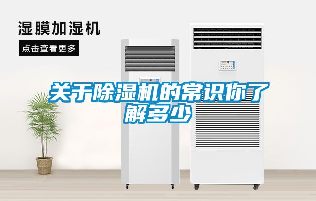 欧美成色手机在线观看 关于除湿机的常识你了解多少