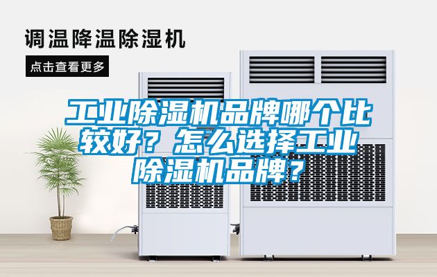 欧美黄色性爱视频网站 工业除湿机品牌哪个比较好？怎么选择工业除湿机品牌？