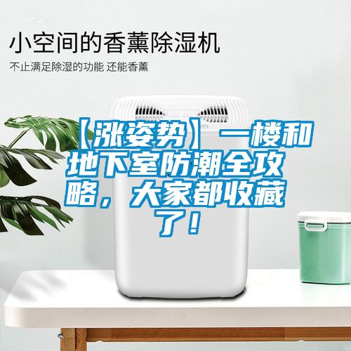 欧美成色手机在线观看 【涨姿势】一楼和地下室防潮全攻略，大家都收藏了！