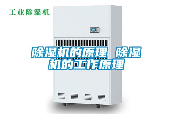欧美成色手机在线观看 除湿机的原理 除湿机的工作原理