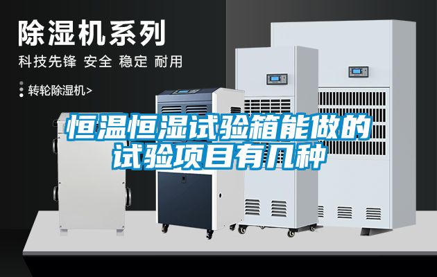 欧美黄色电影在线播放 恒温恒湿试验箱能做的试验项目有几种