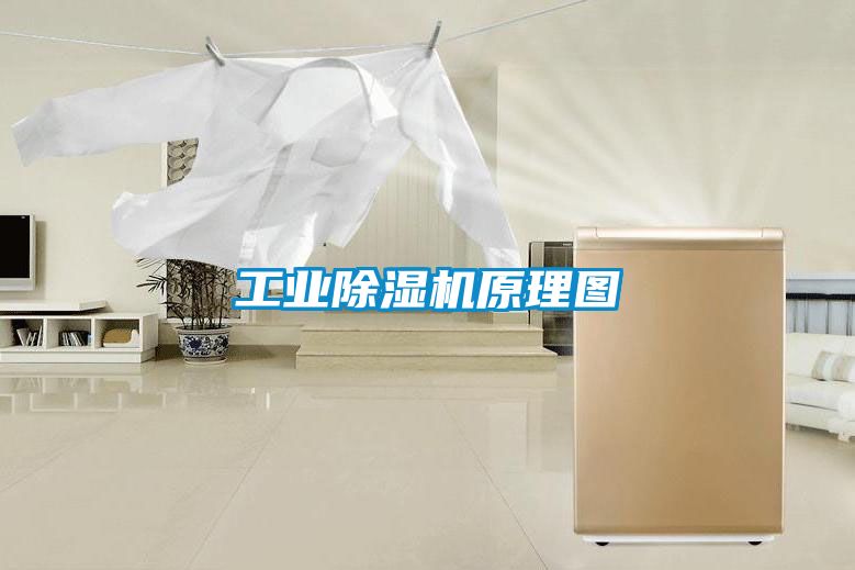 欧美成色手机在线观看 工业除湿机原理图