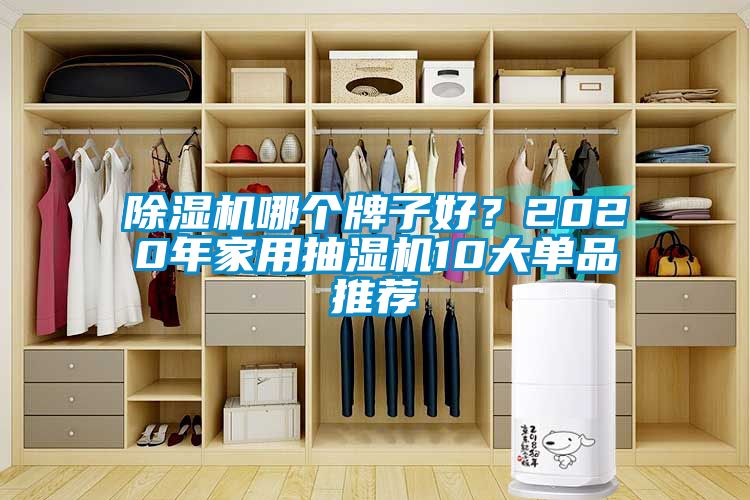 欧美黄色性爱视频网站 除湿机哪个牌子好？2020年家用抽湿机10大单品推荐
