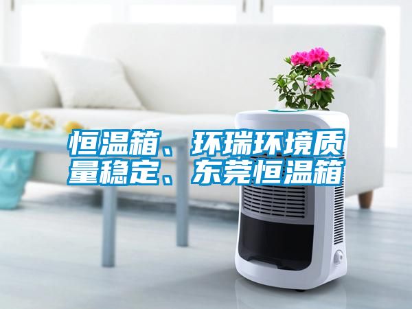欧美黄色性爱视频网站 恒温箱、环瑞环境质量稳定、东莞恒温箱