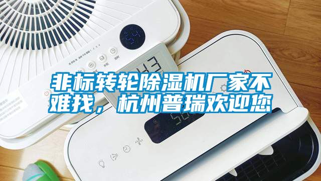 欧美黄色性爱视频网站 非标转轮除湿机厂家不难找，杭州普瑞欢迎您