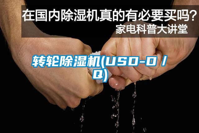 欧美成色手机在线观看 转轮除湿机(USD-D／Q)