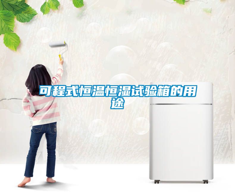 欧美成色手机在线观看 可程式恒温恒湿试验箱的用途