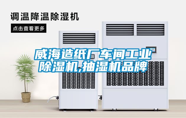 欧美黄色电影在线播放 威海造纸厂车间工业除湿机,抽湿机品牌