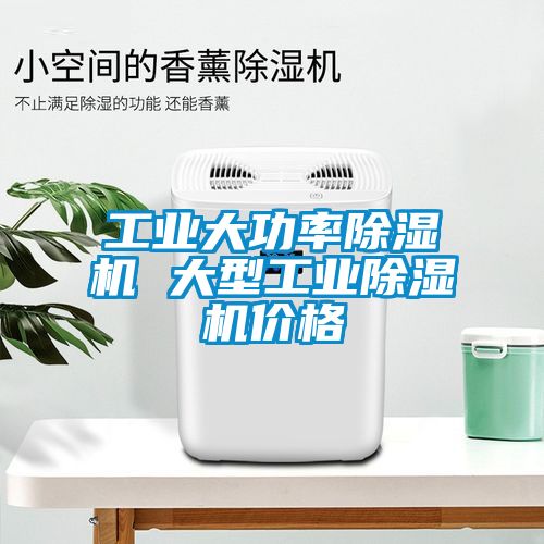 欧美成色手机在线观看 工业大功率除湿机 大型工业除湿机价格