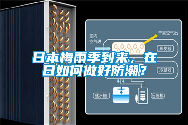 欧美黄色性爱视频网站 日本梅雨季到来，在日如何做好防潮？