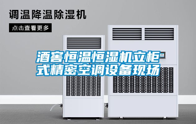 欧美成色手机在线观看 酒窖恒温恒湿机立柜式精密空调设备现场