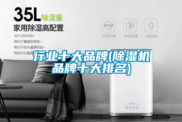 欧美黄色性爱视频网站 行业十大品牌(除湿机品牌十大排名)