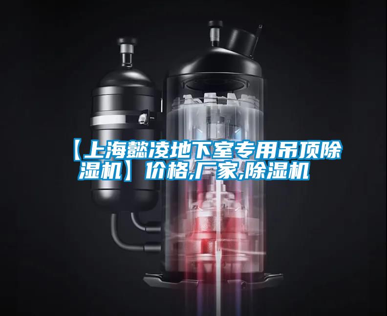 欧美黄色电影在线播放 【上海懿凌地下室专用吊顶除湿机】价格,厂家,除湿机