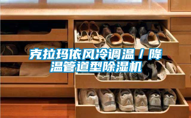 欧美黄色电影在线播放 克拉玛依风冷调温／降温管道型除湿机