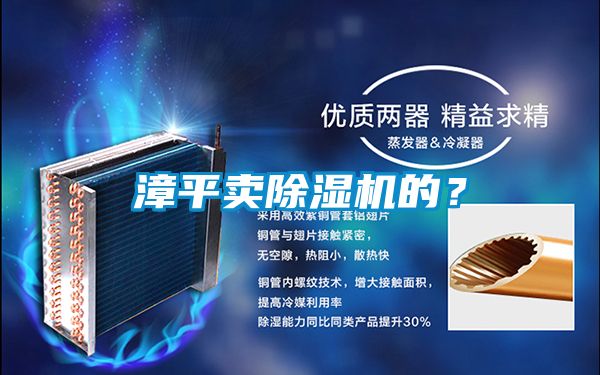 欧美黄色电影在线播放 漳平卖除湿机的？