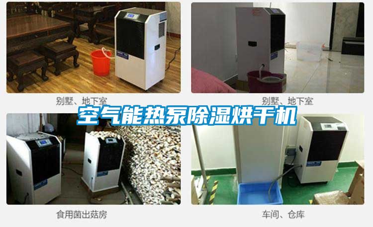 欧美黄色性爱视频网站 空气能热泵除湿烘干机
