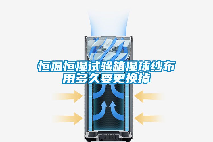 欧美成色手机在线观看 恒温恒湿试验箱湿球纱布用多久要更换掉