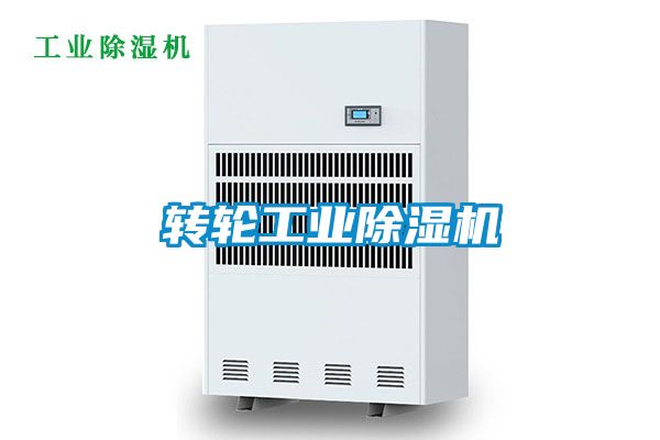 欧美黄色性爱视频网站 转轮工业除湿机