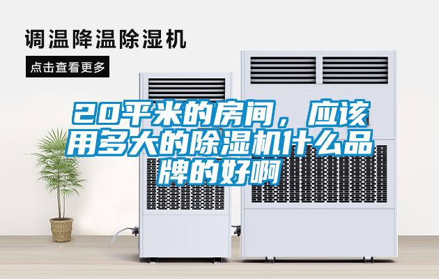 欧美成色手机在线观看 20平米的房间，应该用多大的除湿机什么品牌的好啊