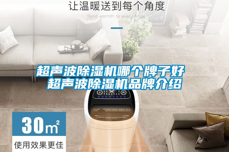 欧美黄色性爱视频网站 超声波除湿机哪个牌子好 超声波除湿机品牌介绍