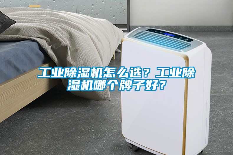 欧美成色手机在线观看 工业除湿机怎么选？工业除湿机哪个牌子好？