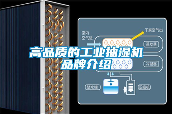 欧美黄色电影在线播放 高品质的工业抽湿机品牌介绍