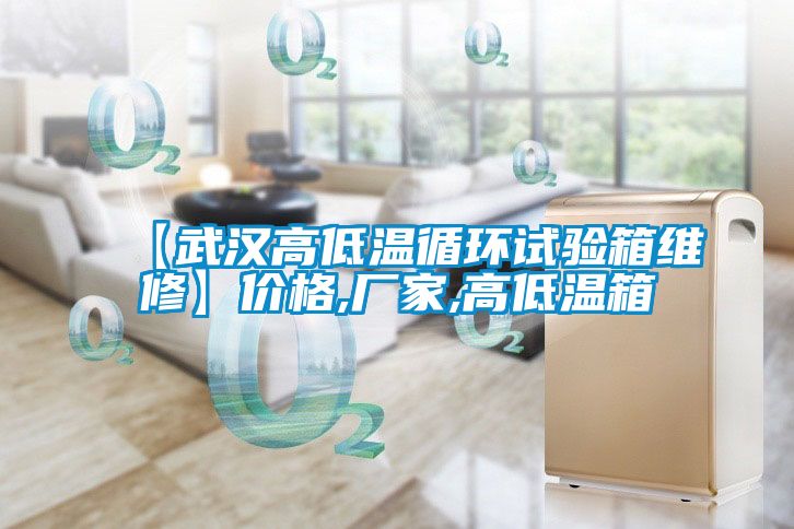 欧美黄色性爱视频网站 【武汉高低温循环试验箱维修】价格,厂家,高低温箱