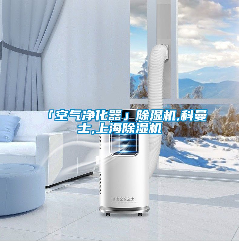 欧美黄色性爱视频网站 「空气净化器」除湿机,科曼士,上海除湿机