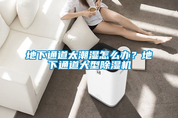 欧美黄色性爱视频网站 地下通道太潮湿怎么办？地下通道大型除湿机