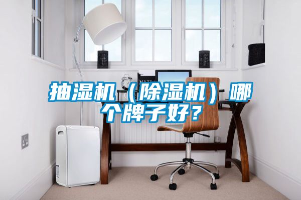 欧美黄色性爱视频网站 抽湿机（除湿机）哪个牌子好？