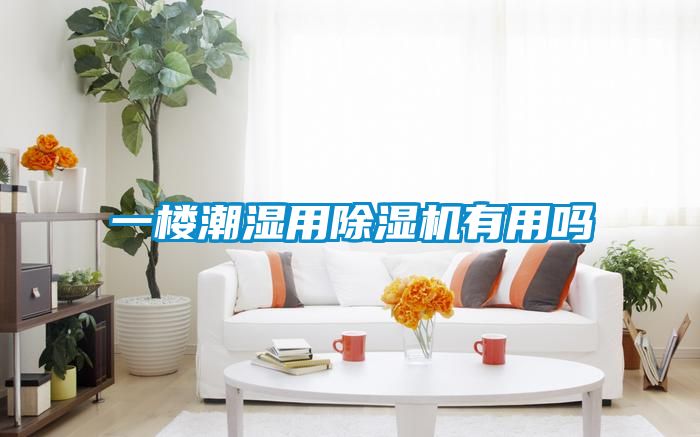 欧美黄色电影在线播放 一楼潮湿用除湿机有用吗