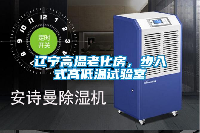 欧美成色手机在线观看 辽宁高温老化房，步入式高低温试验室