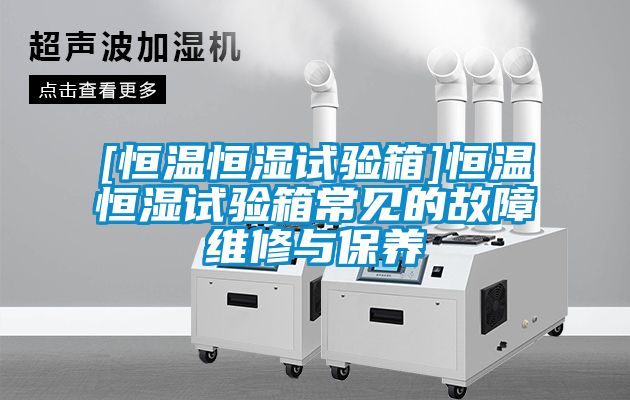 欧美黄色性爱视频网站 [恒温恒湿试验箱]恒温恒湿试验箱常见的故障维修与保养