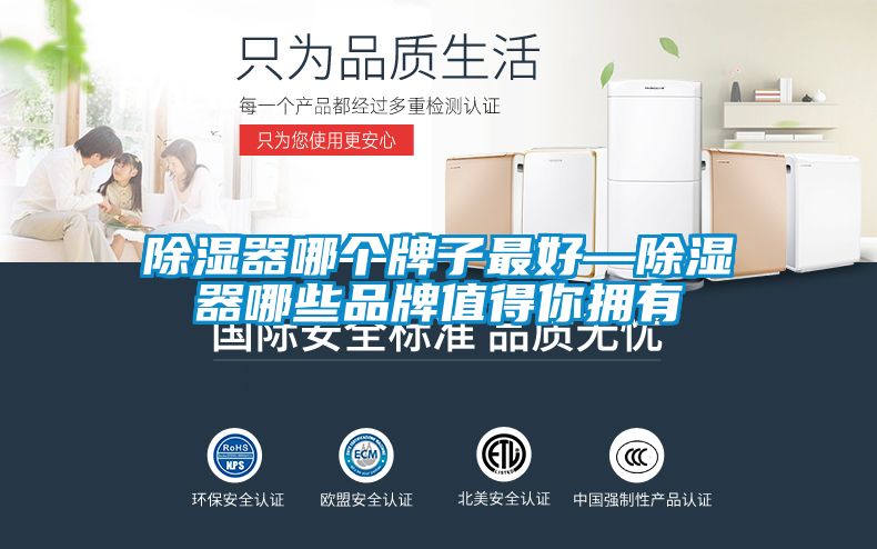 欧美成色手机在线观看 除湿器哪个牌子最好—除湿器哪些品牌值得你拥有