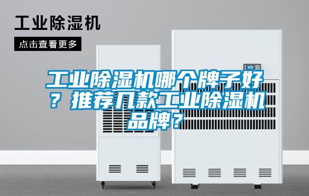 欧美黄色电影在线播放 工业除湿机哪个牌子好？推荐几款工业除湿机品牌？