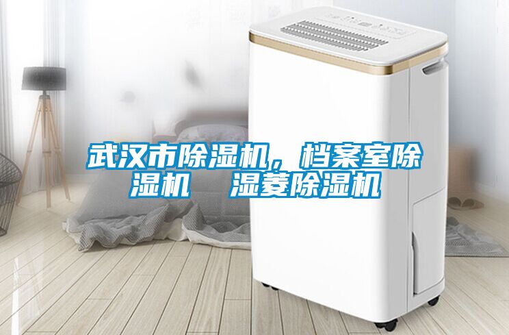 欧美黄色性爱视频网站 武汉市除湿机，档案室除湿机  湿菱除湿机