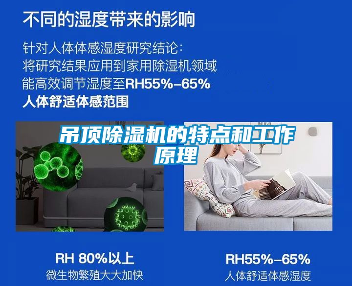 欧美成色手机在线观看 吊顶除湿机的特点和工作原理