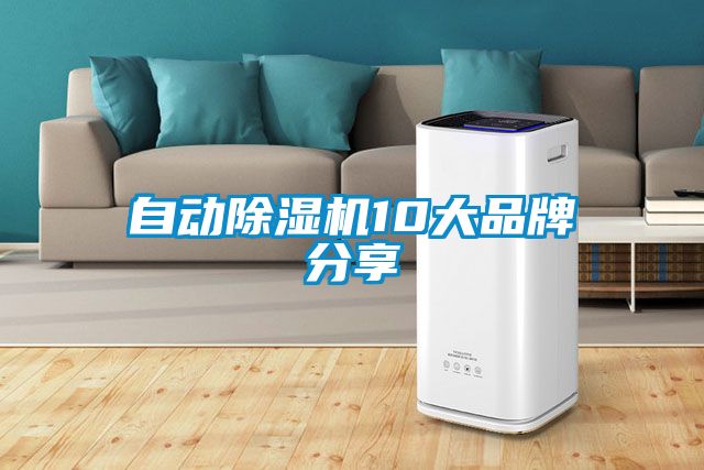 欧美成色手机在线观看 自动除湿机10大品牌分享