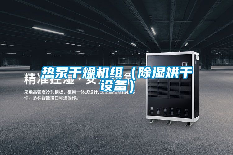 欧美成色手机在线观看 热泵干燥机组（除湿烘干设备）