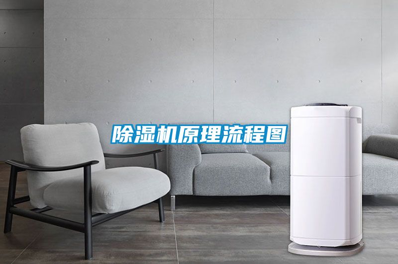 欧美黄色电影在线播放 除湿机原理流程图