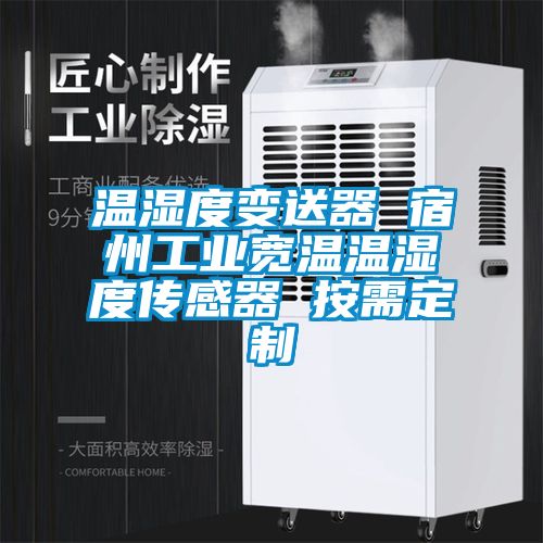欧美成色手机在线观看 温湿度变送器 宿州工业宽温温湿度传感器 按需定制