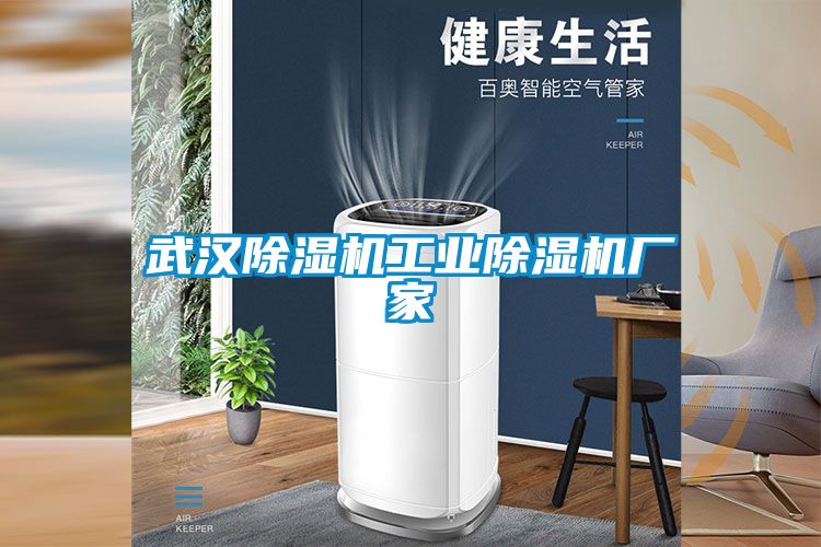 欧美黄色性爱视频网站 武汉除湿机工业除湿机厂家
